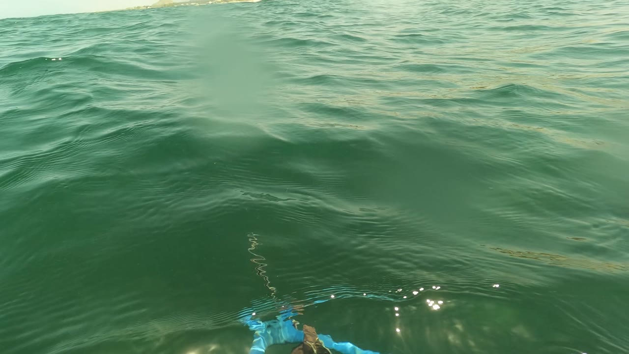 A larger green swell rises across the frame in San Jose Del Cabo, with the shoreline high in the background and a small blue piece of gear appearing near the lower right.