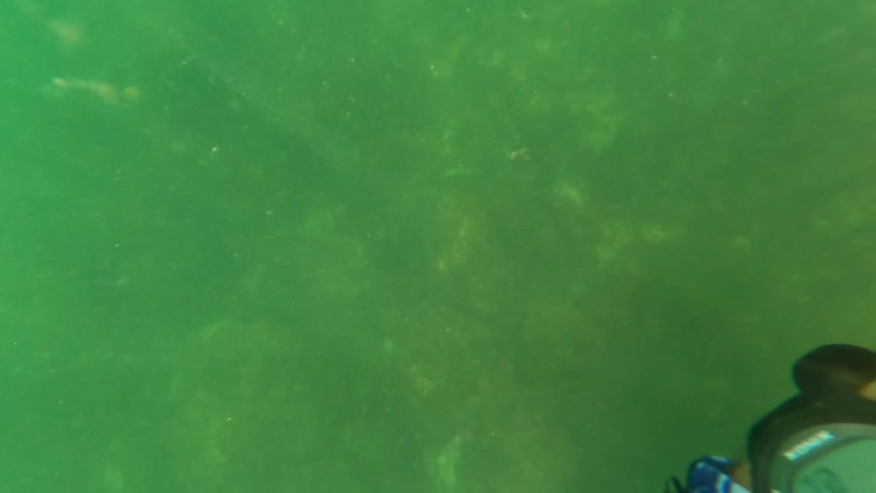 Green underwater view in San Jose del Cabo with hazy seabed detail and no visible people at the start of the clip.