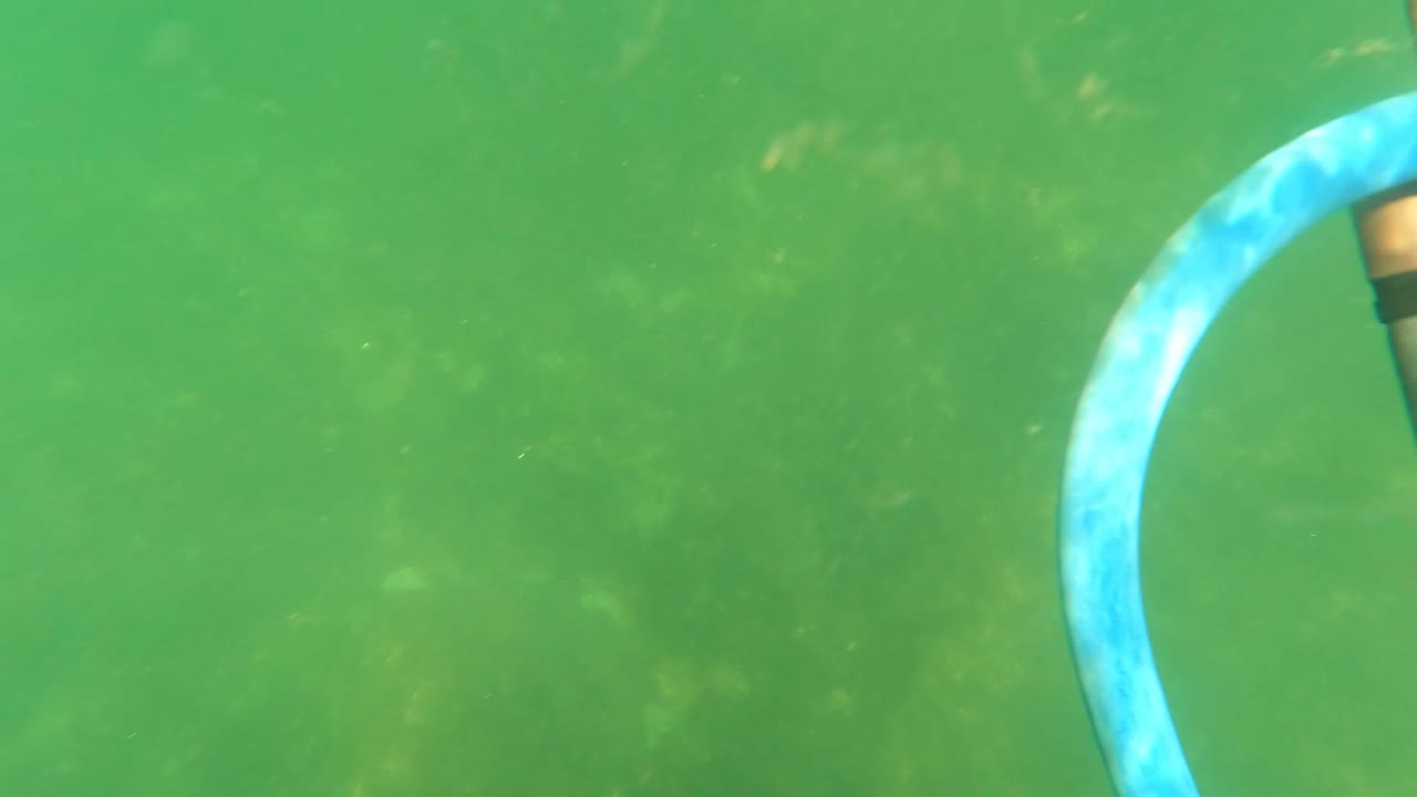 A partial blue speargun band and dark underwater gear edge enter the green San Jose del Cabo water, with no recognizable person visible.