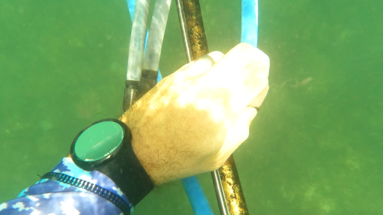 A diver's hand with a wristwatch holds a speargun beside a blue hose in green water near San Jose Del Cabo, Mexico, with no visible faces.