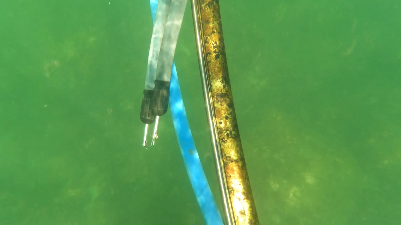 Speargun rods and a loop of blue hose fill the close underwater frame in San Jose Del Cabo, Mexico, with the diver mostly out of view.