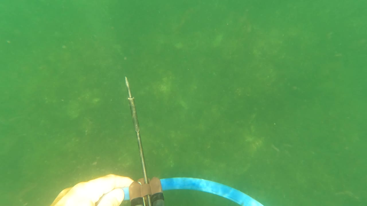 Spear tip and blue line visible underwater with a hand at the lower edge.