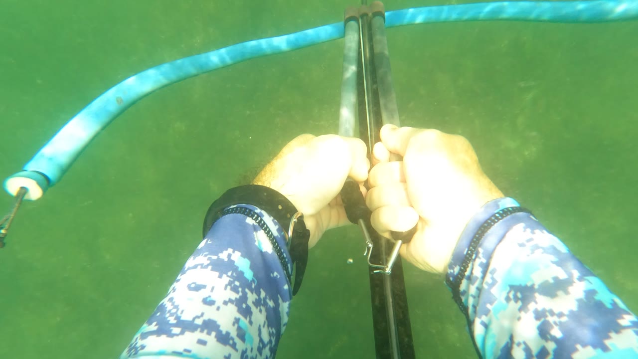 Diver hands loading a speargun underwater in green water.