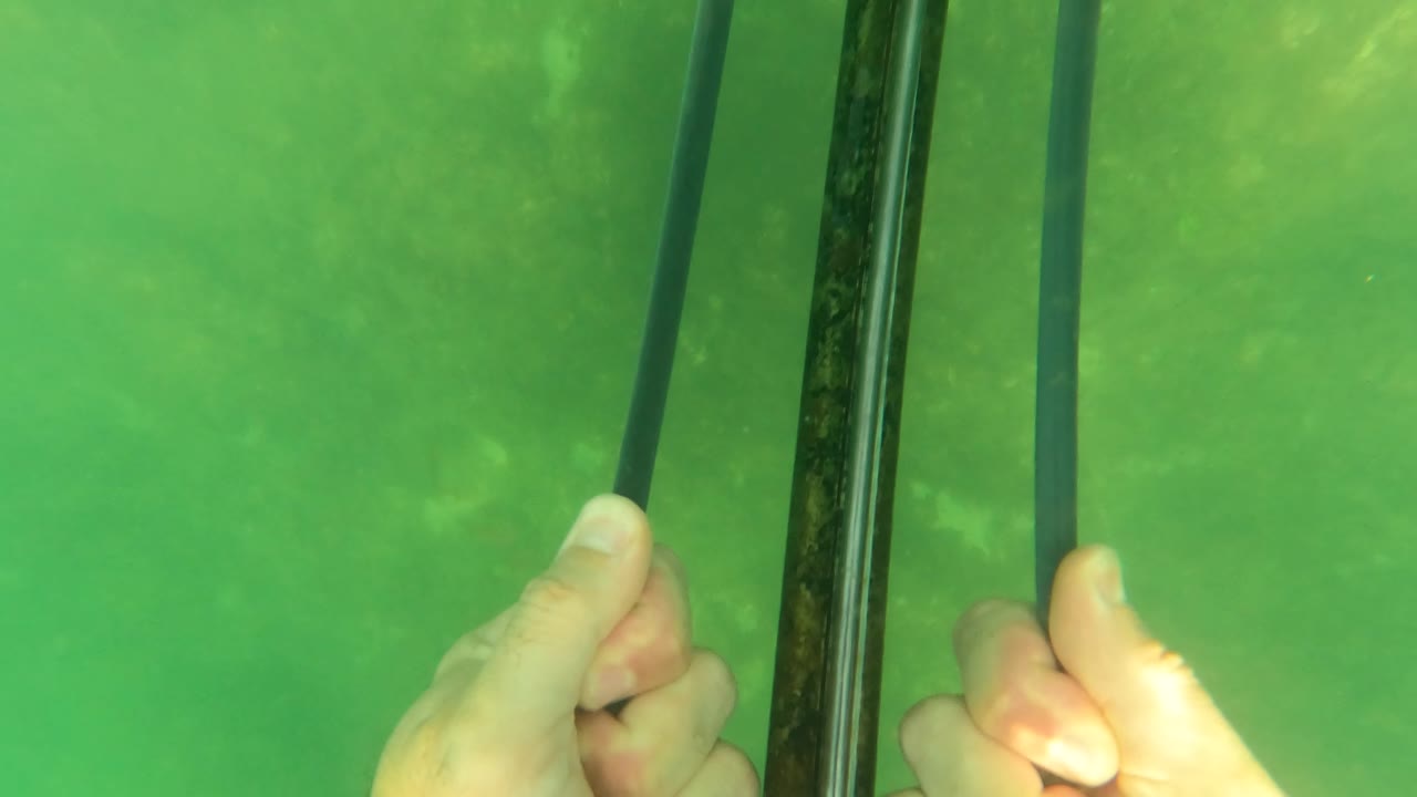 A close crop shows a hand holding near the speargun shaft in green San Jose Del Cabo water, with the blue band mostly out of frame and no visible faces.