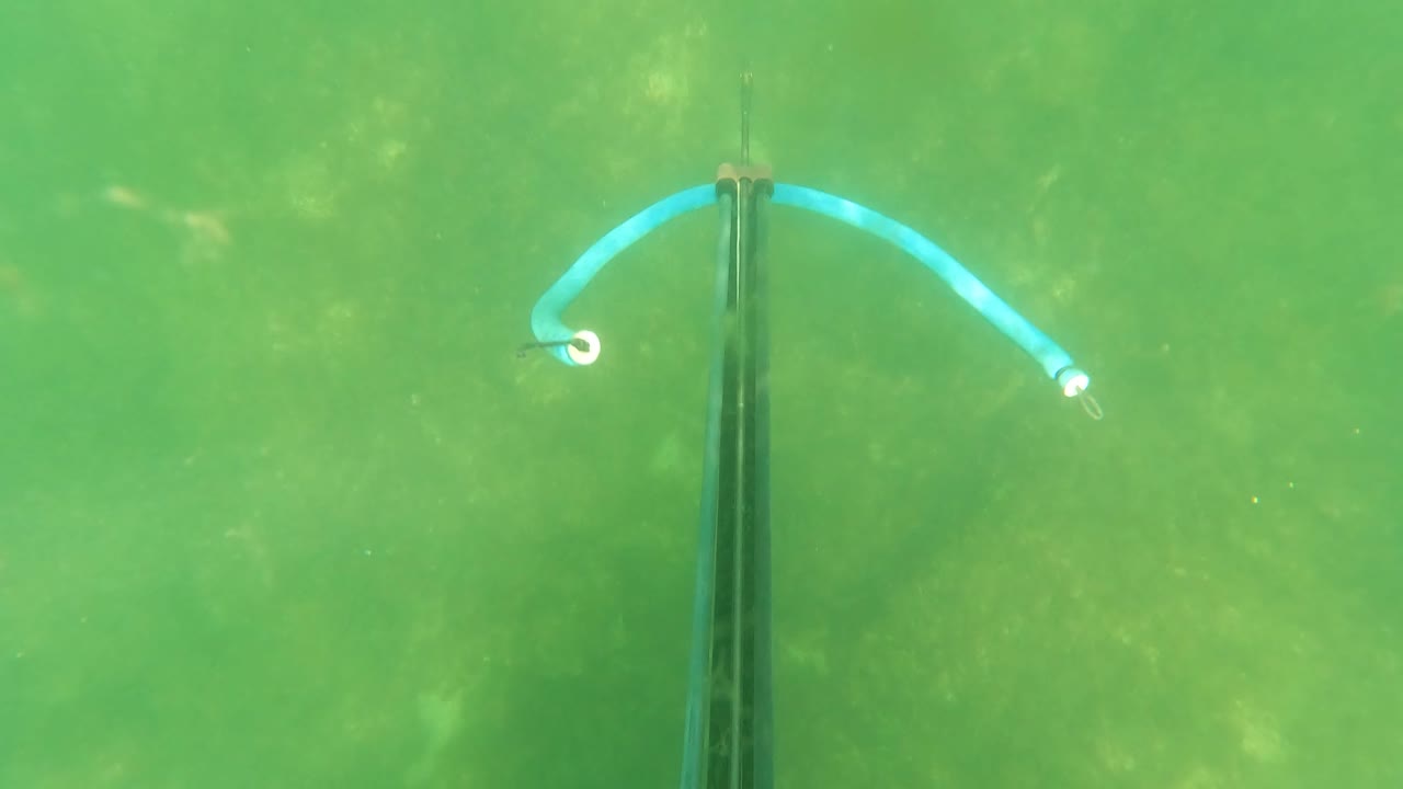 The speargun shaft extends down through green water in San Jose Del Cabo, with the blue rubber band opened wide and no hands or faces visible.