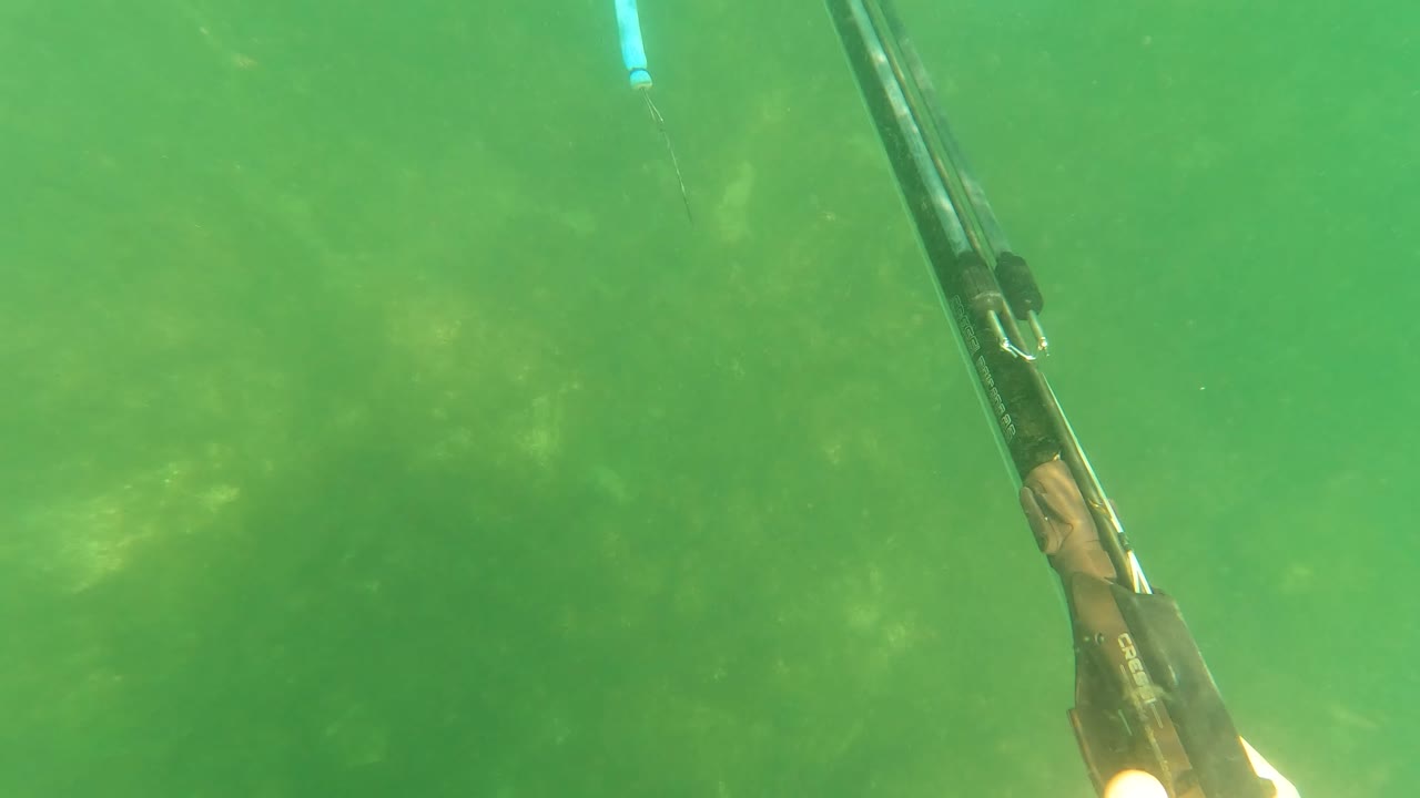 Underwater view in San Jose Del Cabo, Mexico, showing a speargun in the foreground pointed through green water above a faint rocky seabed, with no visible people.