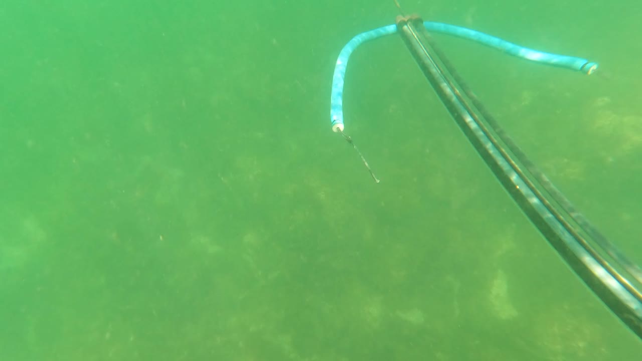 Submerged frame from San Jose Del Cabo, Mexico, with a blue line crossing the upper water and speargun parts at the right edge over a muted seabed, with no visible people.