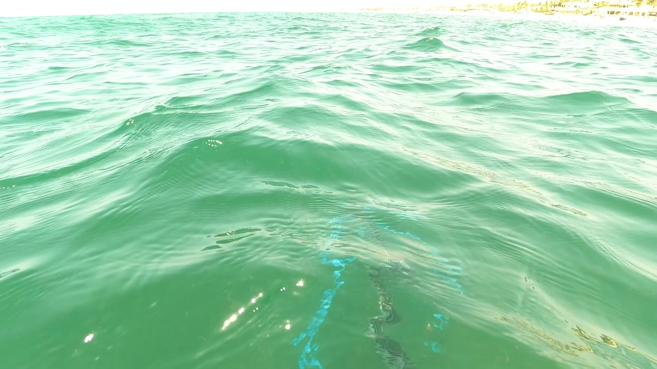 Surface-level view in San Jose Del Cabo, Mexico, showing rippled green ocean water with the blue line visible beneath and no visible people.