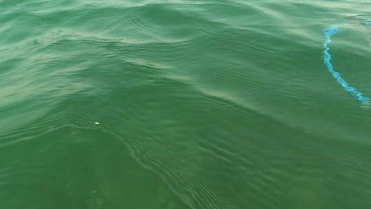 Dark rippled water surface with blue line at edge