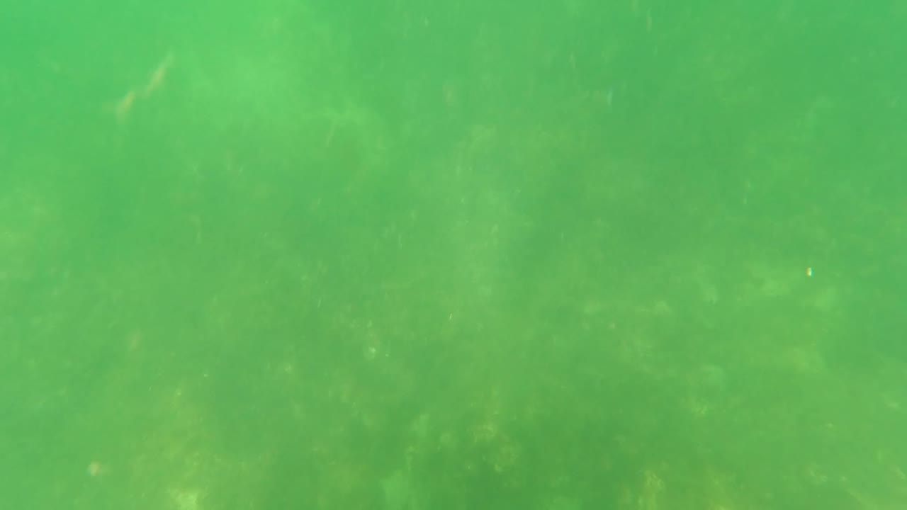 Green-tinted water in San Jose Del Cabo with suspended haze, dim seabed shapes, and no visible people.