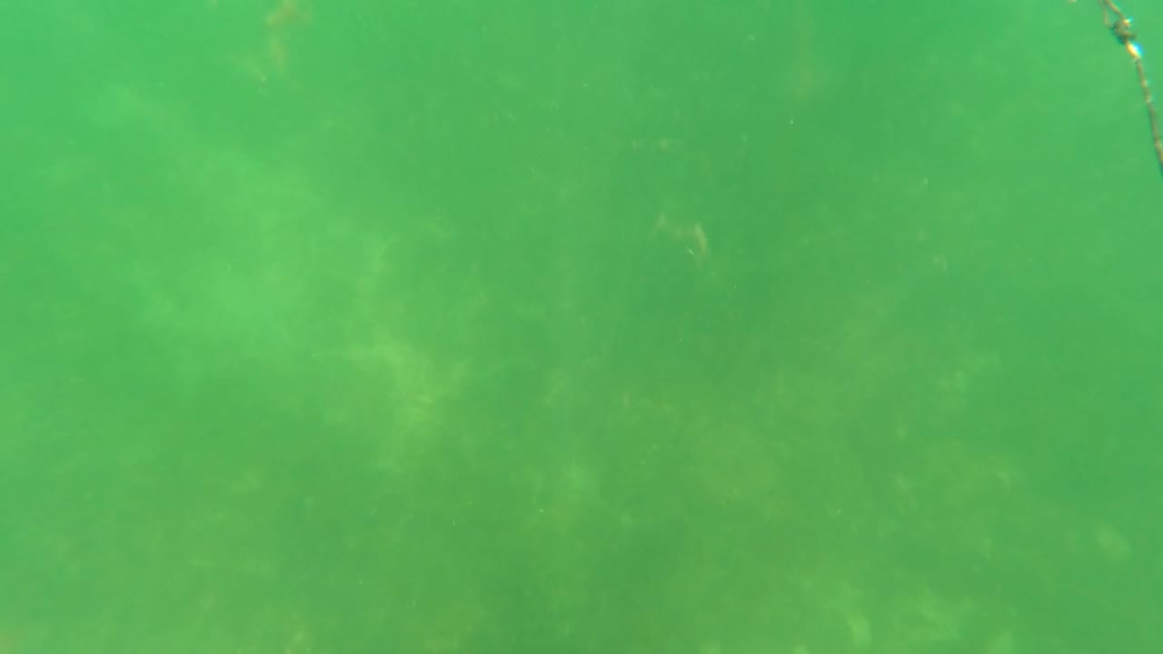 Cloudy underwater frame from San Jose Del Cabo showing green water, muted seabed patches, and no visible people.