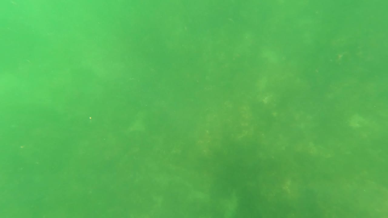 Green underwater view in San Jose Del Cabo with a faint rocky seabed beneath hazy water and no visible people.