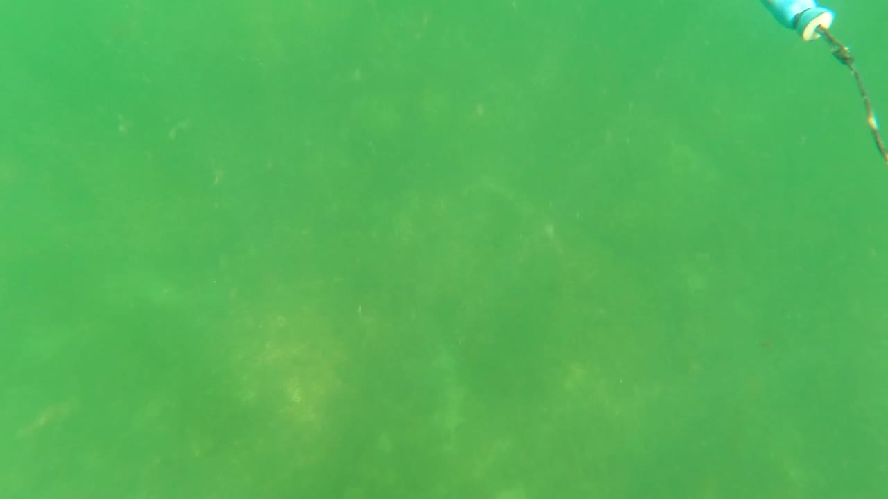 Green underwater scene in San Jose Del Cabo with faint seabed texture and a small blue object entering near the upper edge, with no visible people.