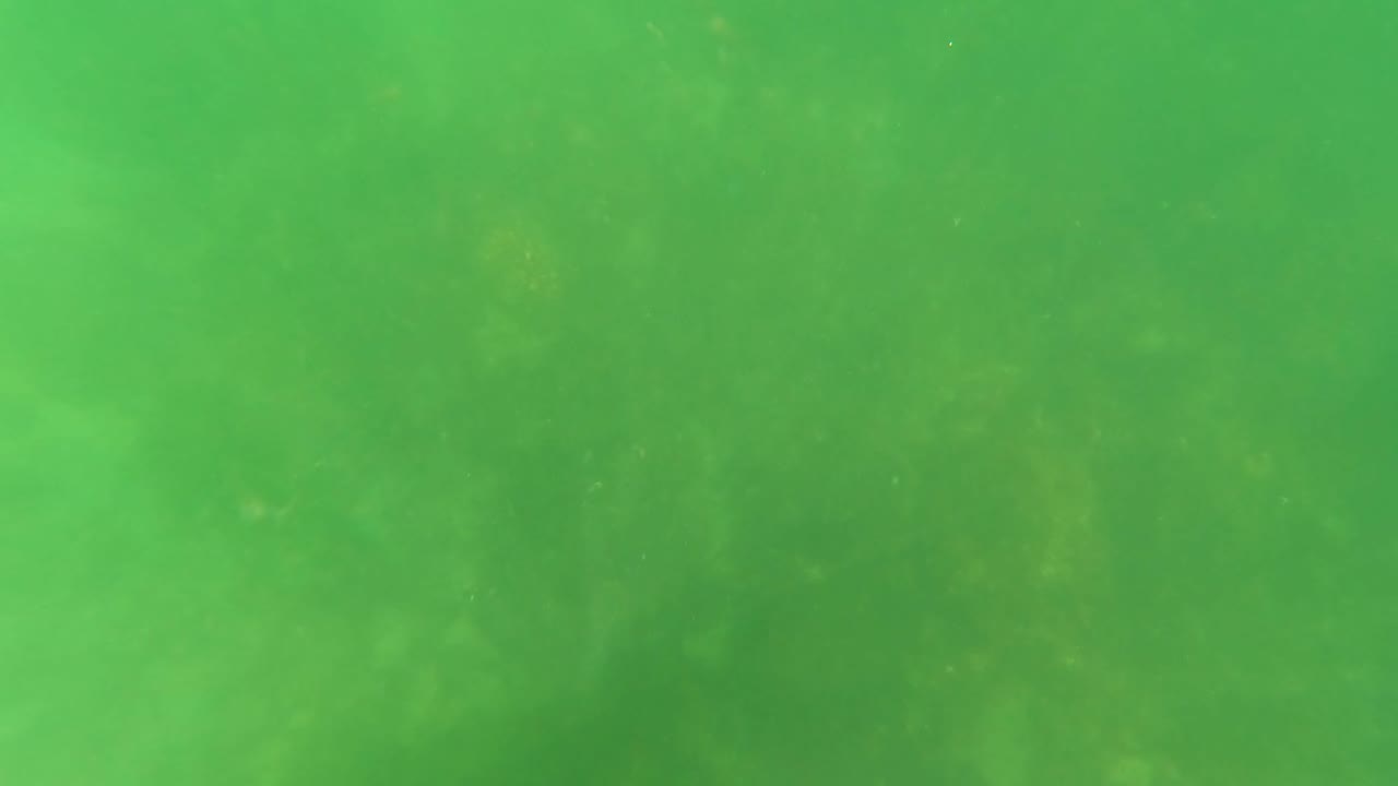 Underwater green water with cloudy seabed texture.