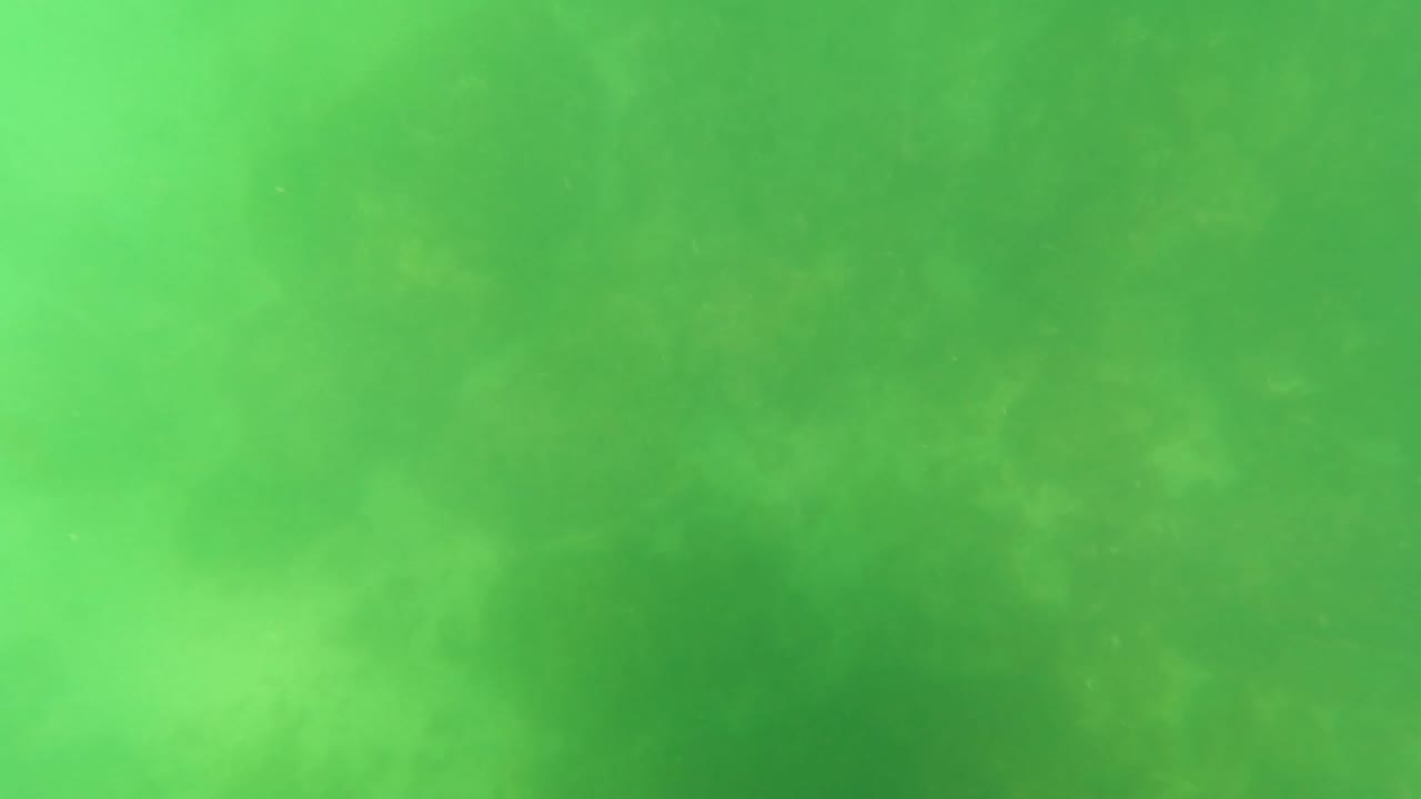 Murky green underwater scene with faint fish shapes.