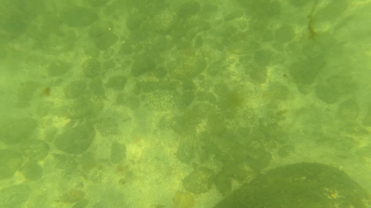 Mid-clip underwater frame in San Jose del Cabo showing denser dark seabed patches through green water, with bright dappled light and no visible people.