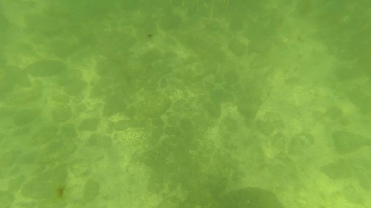 Fourth frame from San Jose del Cabo showing a flatter green underwater field, faint particles, low-contrast seabed detail, and no visible people.