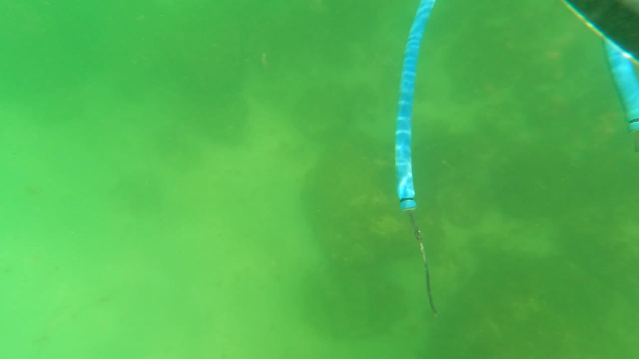 Green underwater view with blue striped rope and rocky seabed haze.