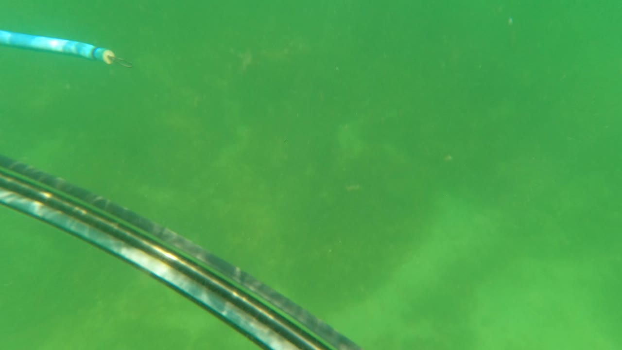 San Jose del Cabo underwater frame with a metal bar cutting across the foreground, a blue striped rope near the center, and a soft rocky seabed behind it, no visible people.