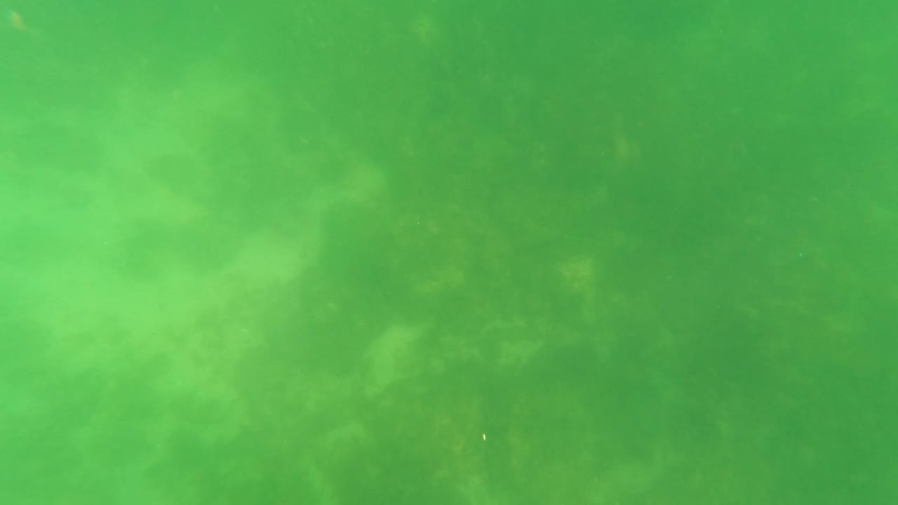Murky green underwater view over a faint seabed