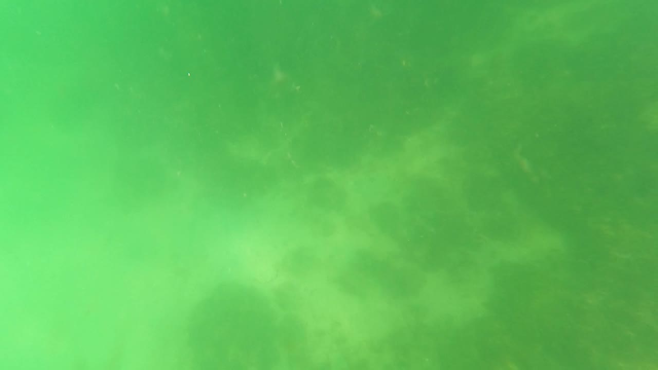 Green underwater haze in San Jose Del Cabo, Baja California Sur, with soft seabed texture visible through the murk and no visible people.