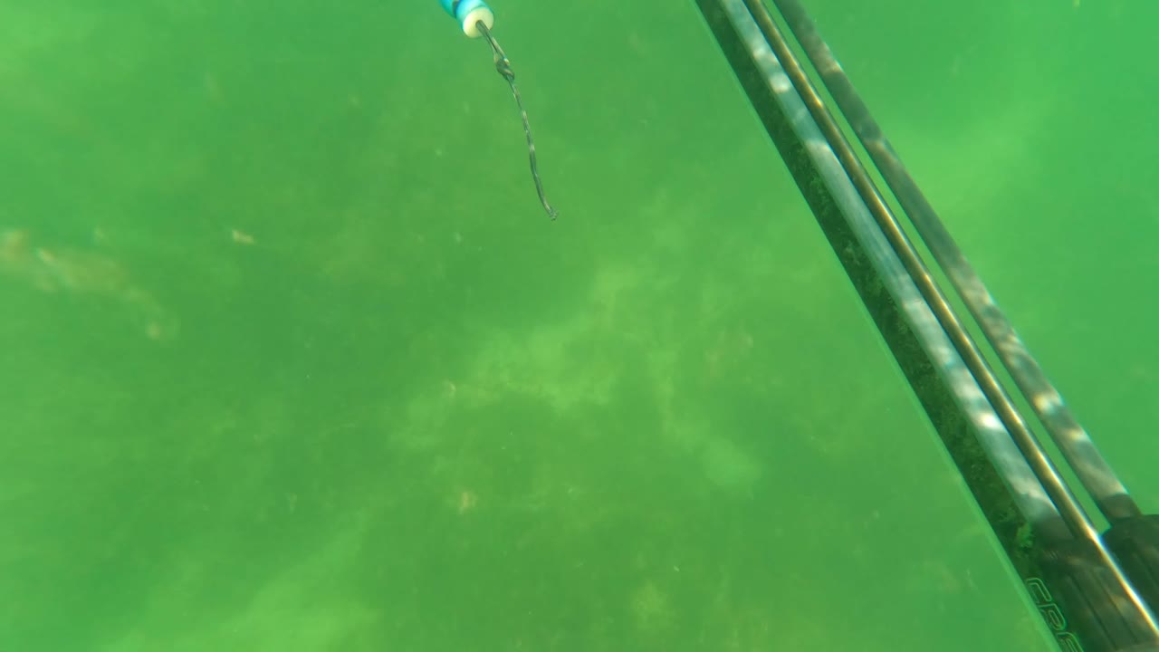 A diagonal speargun with a small blue tip crosses the foreground above a hazy green seabed in San Jose Del Cabo, Baja California Sur, with no visible people.