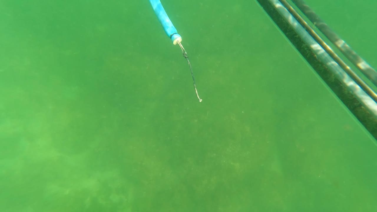 Blue rope and dark cable underwater in green water