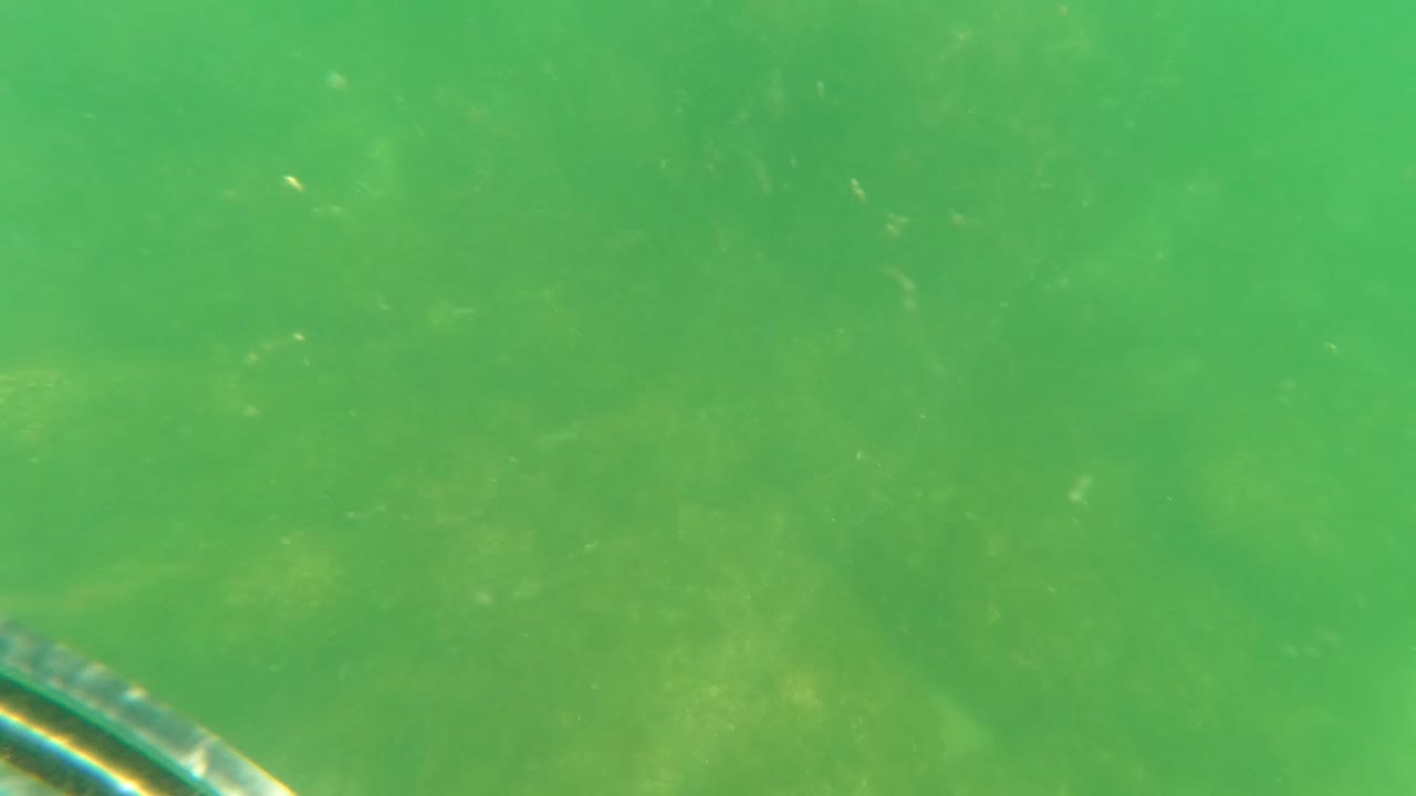 Dark rod-like cables cut diagonally through green water above faint seabed detail in San Jose del Cabo, with no visible people.