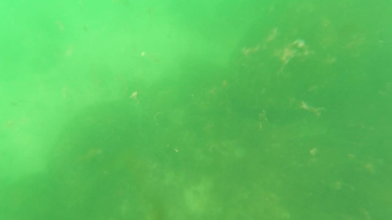Green underwater haze fills the frame with dim sandy and rocky seabed shapes below in the San Jose del Cabo footage, with no visible people.