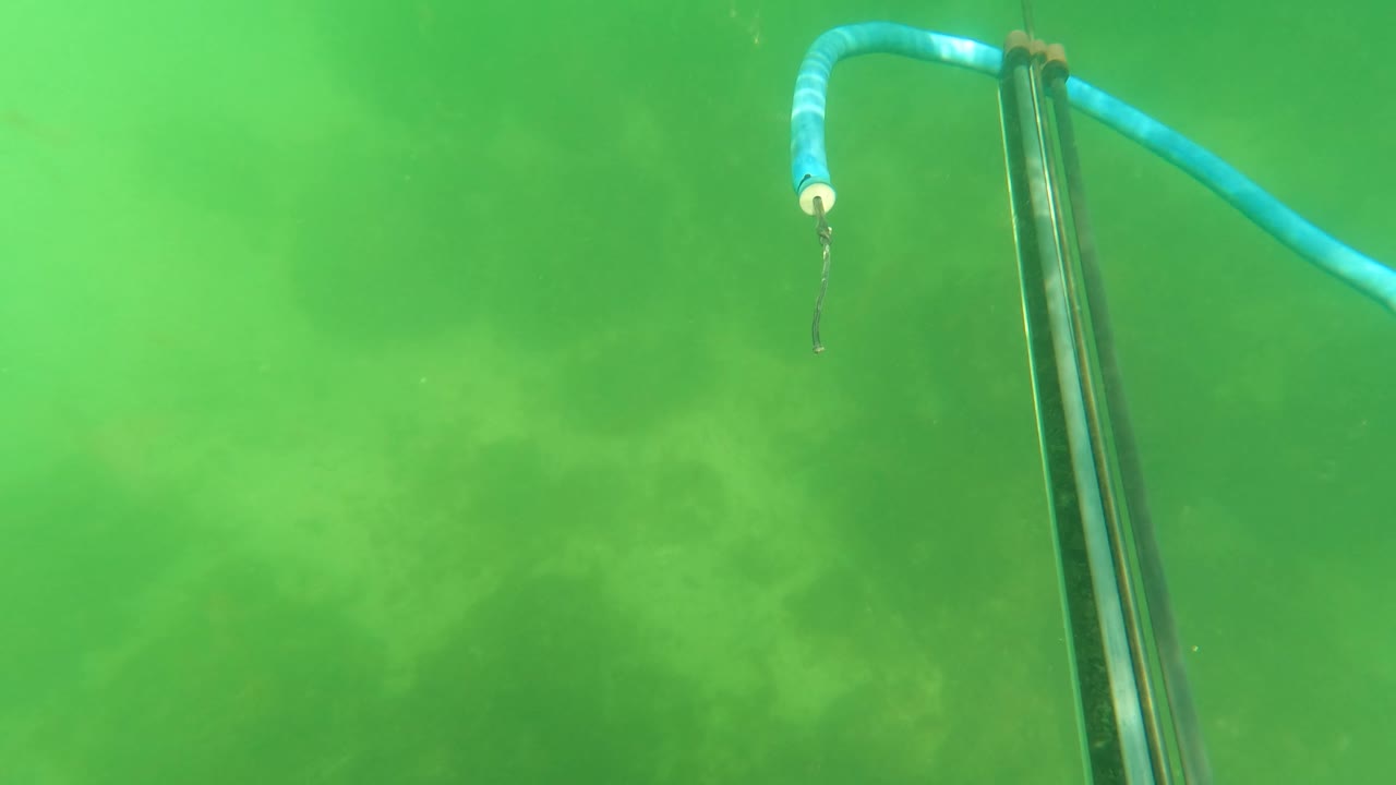 A blue hose curves across the upper portion of a green underwater frame in San Jose del Cabo while a dark pole stands near the right side and the seabed remains hazy below, with no visible people.