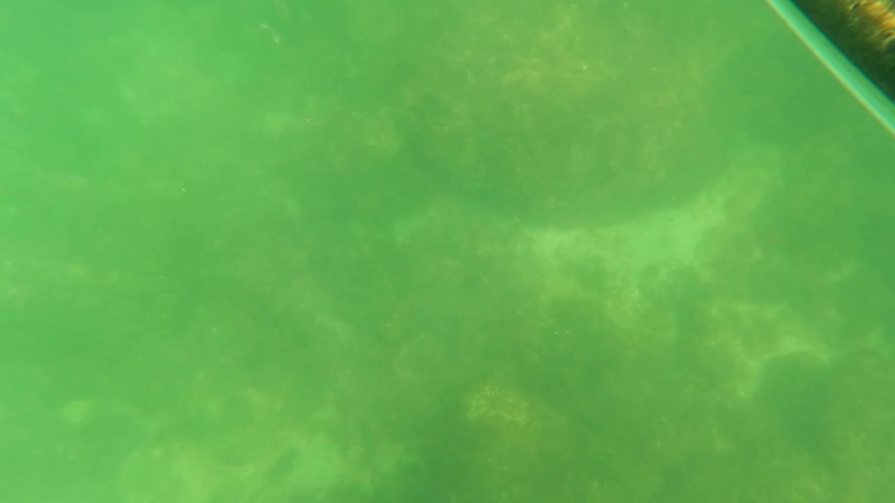 Green-tinted underwater frame from San Jose del Cabo with faint rocks and algae below, suspended particles, a boat edge at upper right, and no visible people.