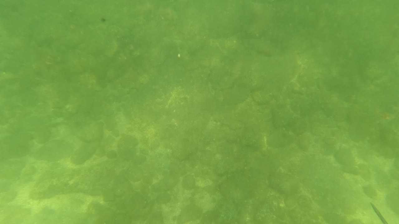 Early frame of green underwater visibility over rocks and sand in San Jose del Cabo, Mexico, with soft surface light and no visible people.