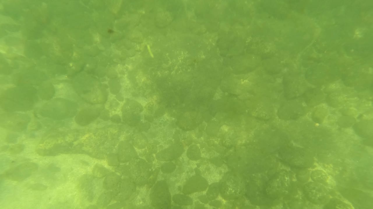 Second frame showing the rocky and sandy bottom through green water in San Jose del Cabo, with diffuse light ripples and no visible people.