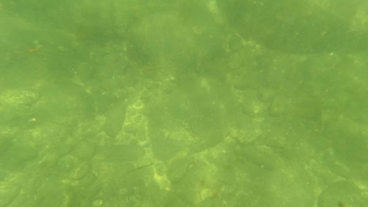 Green water above a rocky sandy bottom