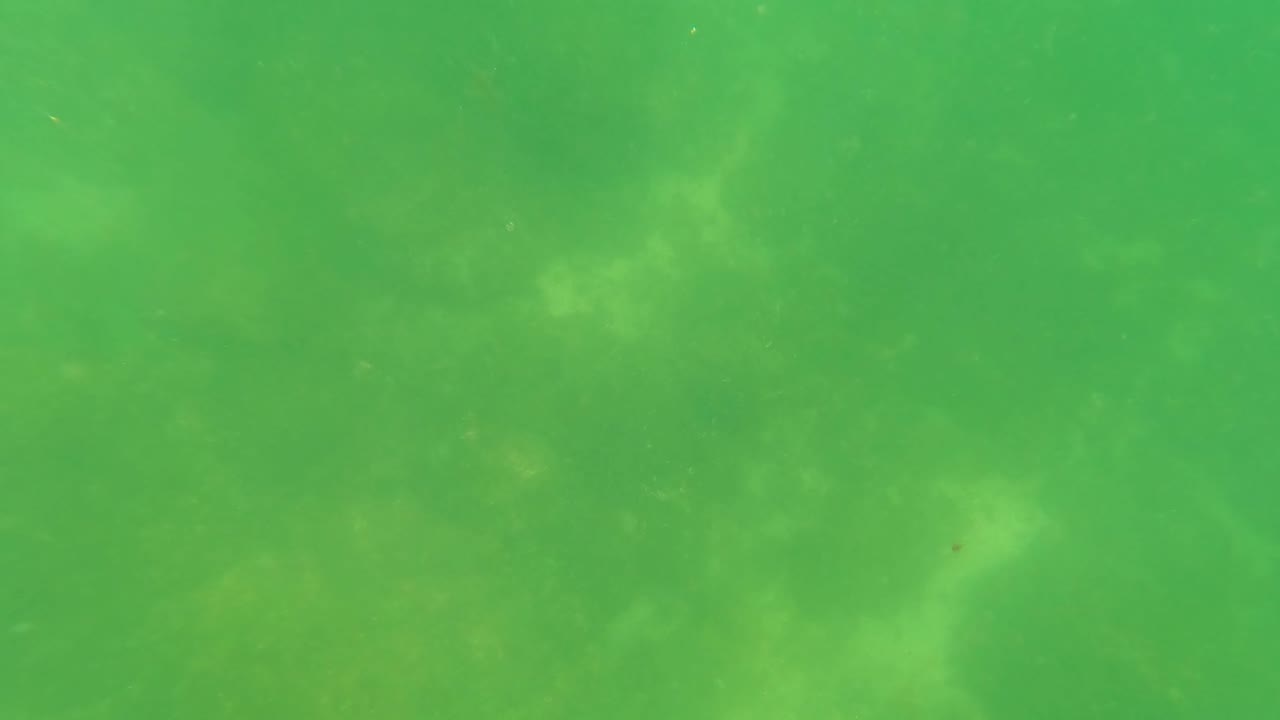 Green underwater frame from San Jose Del Cabo, Baja California Sur, with filtered light over a rocky seabed and faint marine growth, with no visible people.