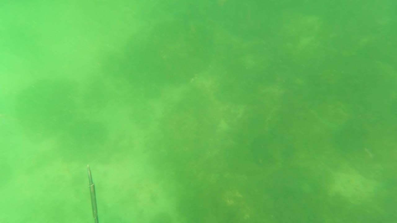 Green murky underwater frame from San Jose del Cabo with hazy water, dark seabed texture, suspended particles, and no visible people.