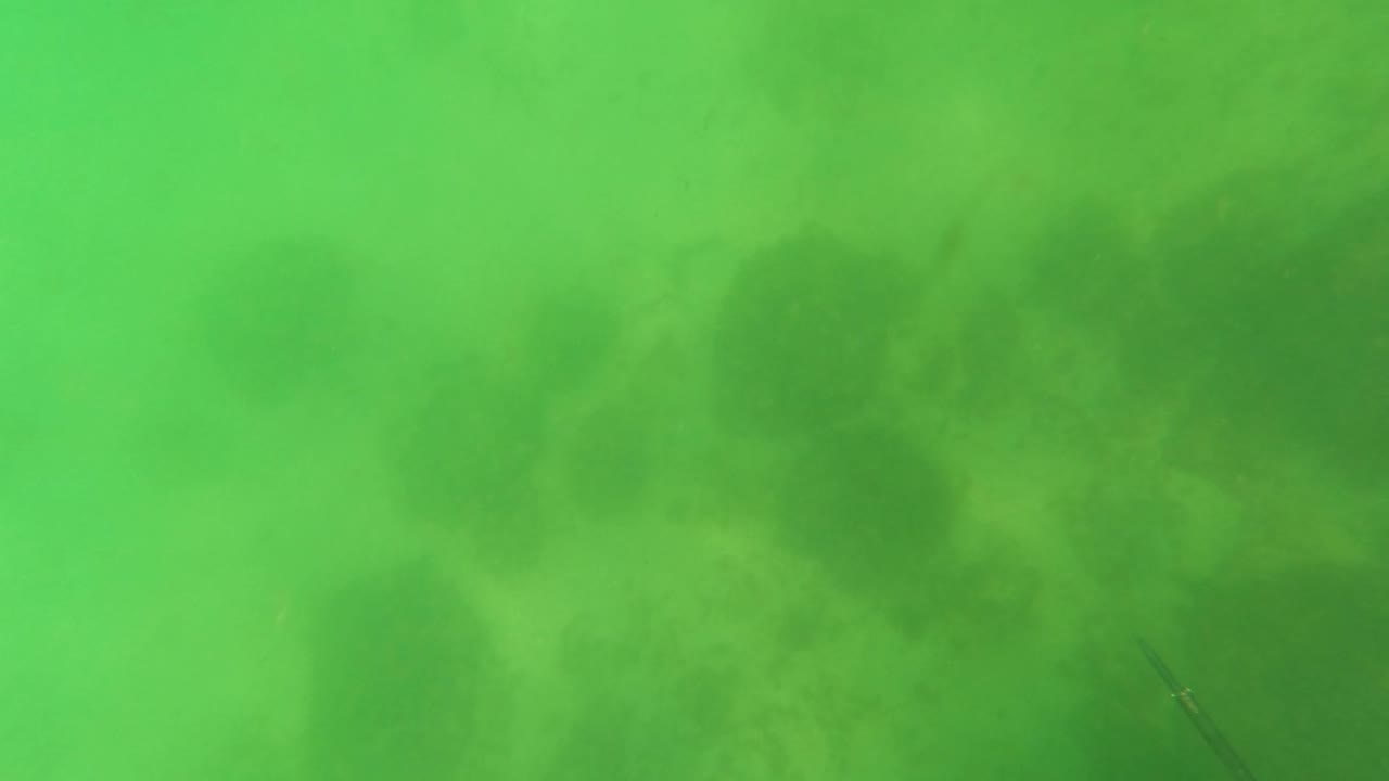 San Jose del Cabo underwater frame with dense green water, soft particulate haze, shadowed seabed areas, and no visible people or clear marine life.