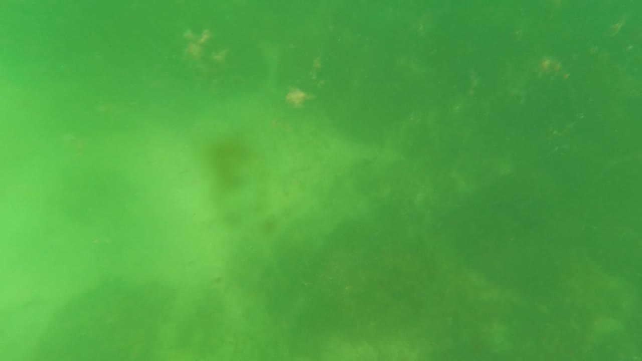 Underwater green water with dim seabed shapes
