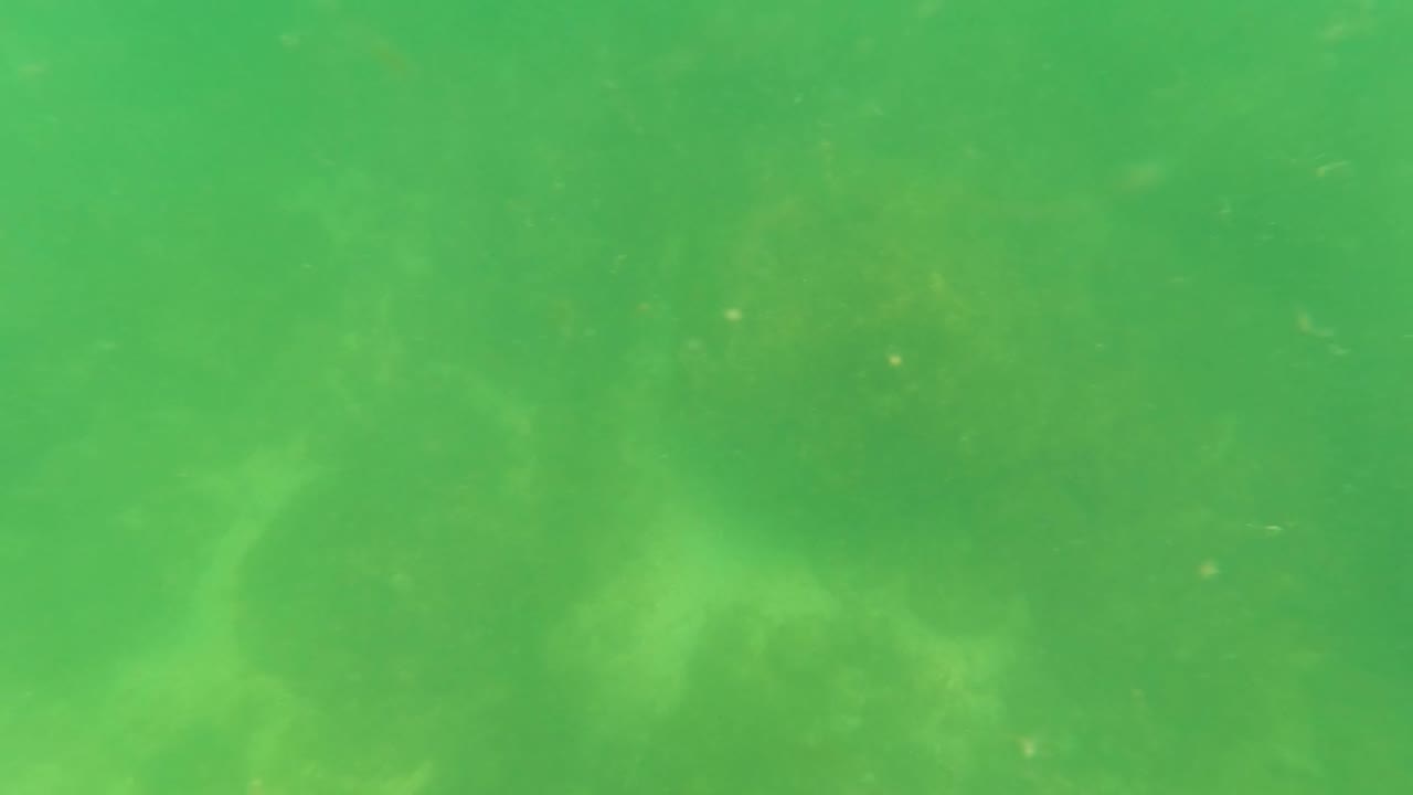 The mid-clip frame shows green water, faint rocky bottom detail, drifting particles, and no visible people in the San Jose Del Cabo underwater scene.