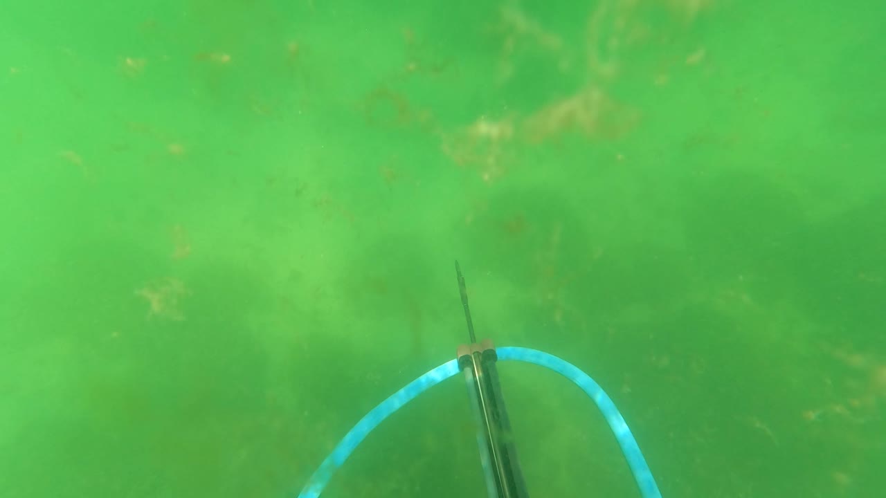 At 0:01, a blue line curves across the center of the green underwater frame in San Jose Del Cabo, with the speargun shaft partly visible and no visible people.