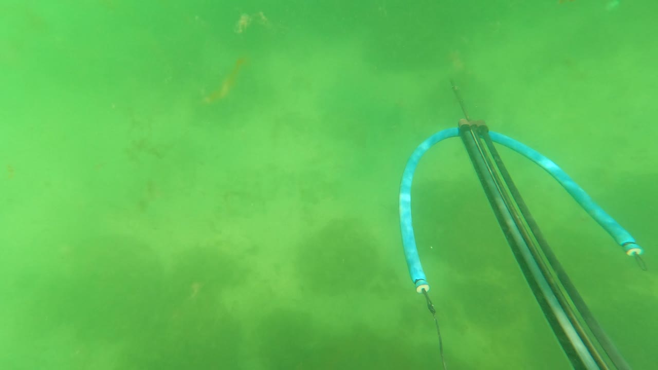 At 0:02, the speargun and blue line sit near the right side of the green water frame in San Jose Del Cabo, with particles and no visible people.