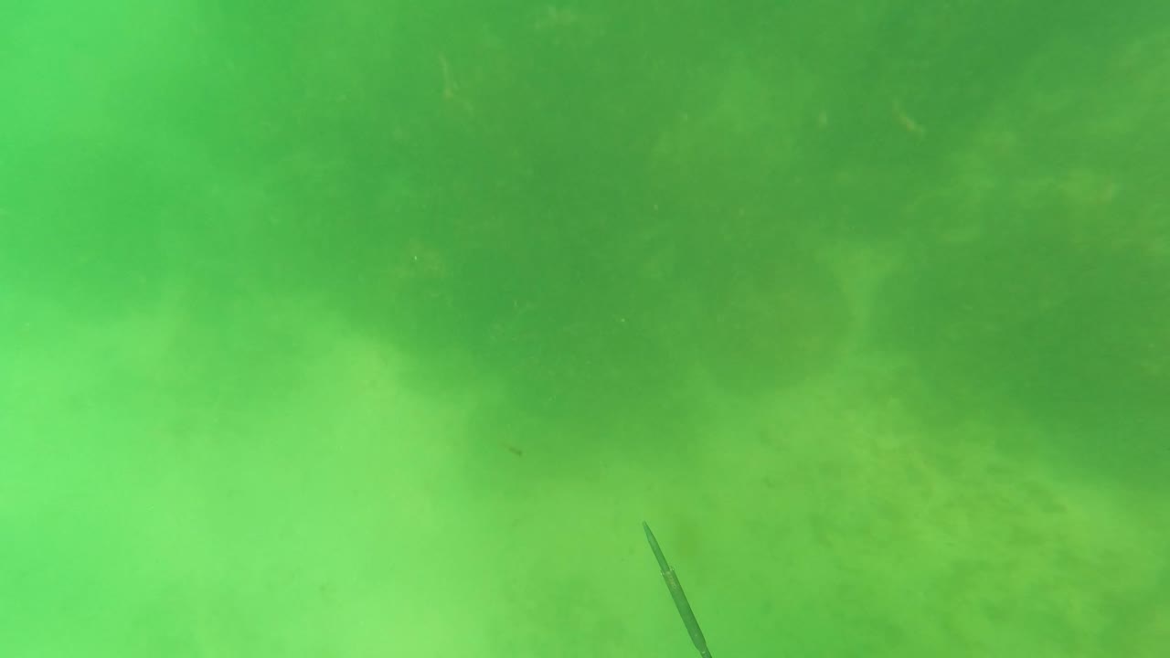 Green underwater view in San Jose Del Cabo, Baja California Sur, with a hazy rocky seabed, suspended particles, a thin spear-like object entering from the lower left, and no visible people.