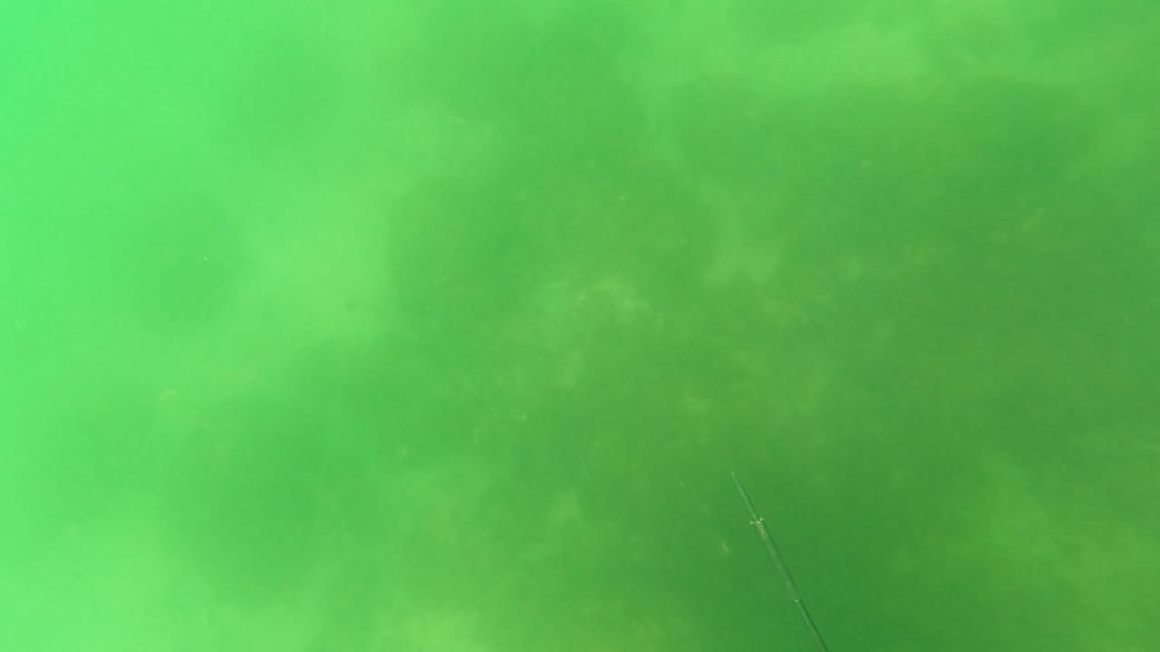 Bright green underwater view with cloudy water and a faint vertical line near the lower area.