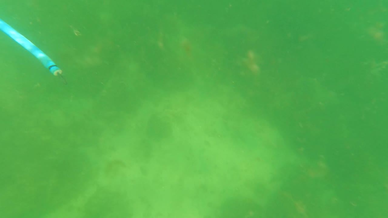 At 0:00 in San Jose del Cabo, a partial blue speargun hose enters from the left edge against cloudy green water and a faint seabed, with no visible people.