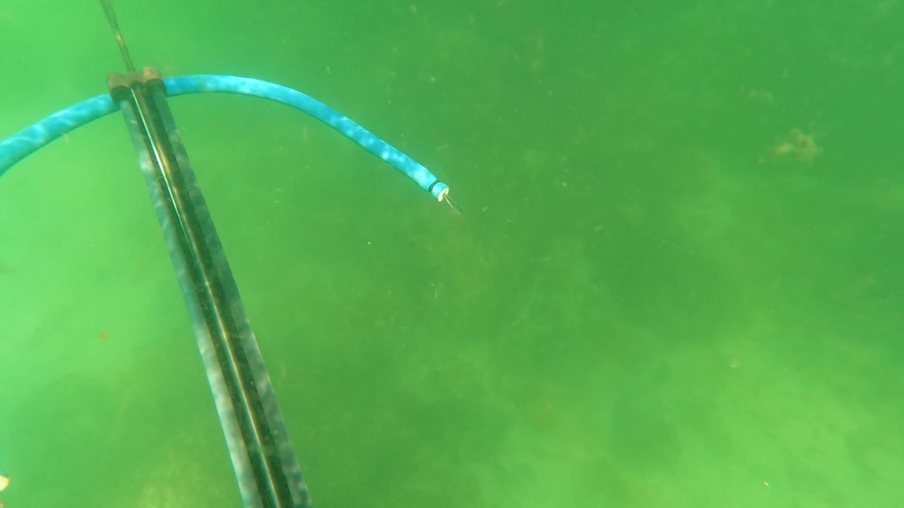 At 0:01 in San Jose del Cabo, the speargun sits near the center with blue bands spread across green, cloudy water over a muted ocean floor, with no visible people.