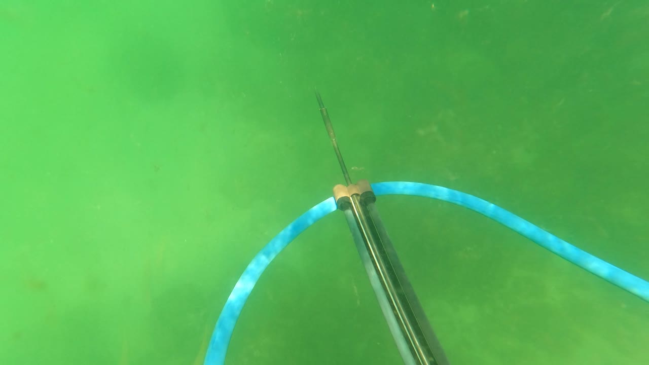 At 0:02 in San Jose del Cabo, the speargun shifts toward the right side while its blue band arcs through murky green water above indistinct bottom growth, with no visible people.