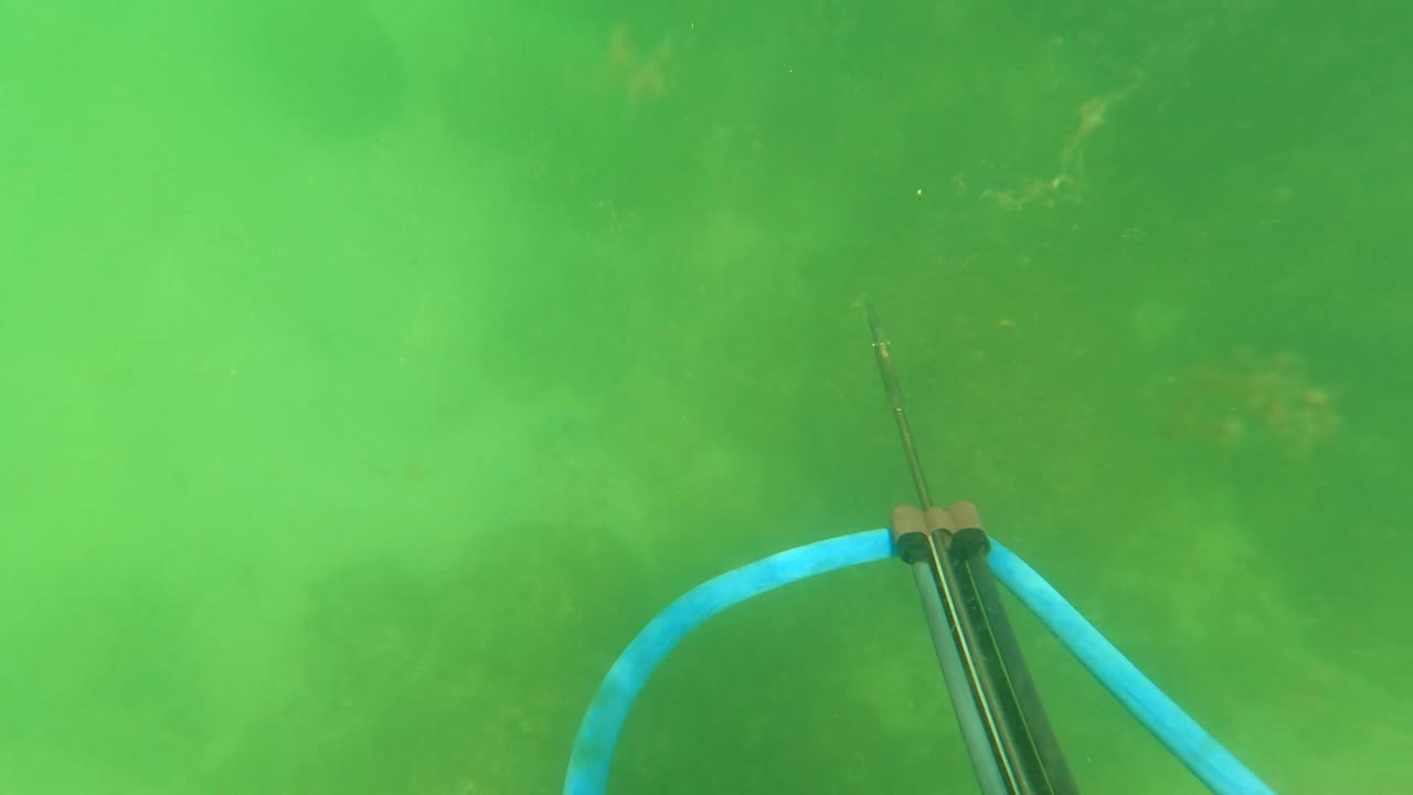 At 0:03 in San Jose del Cabo, the speargun appears low in the frame with blue hose detail against a broad field of green haze and soft seabed texture, with no visible people.