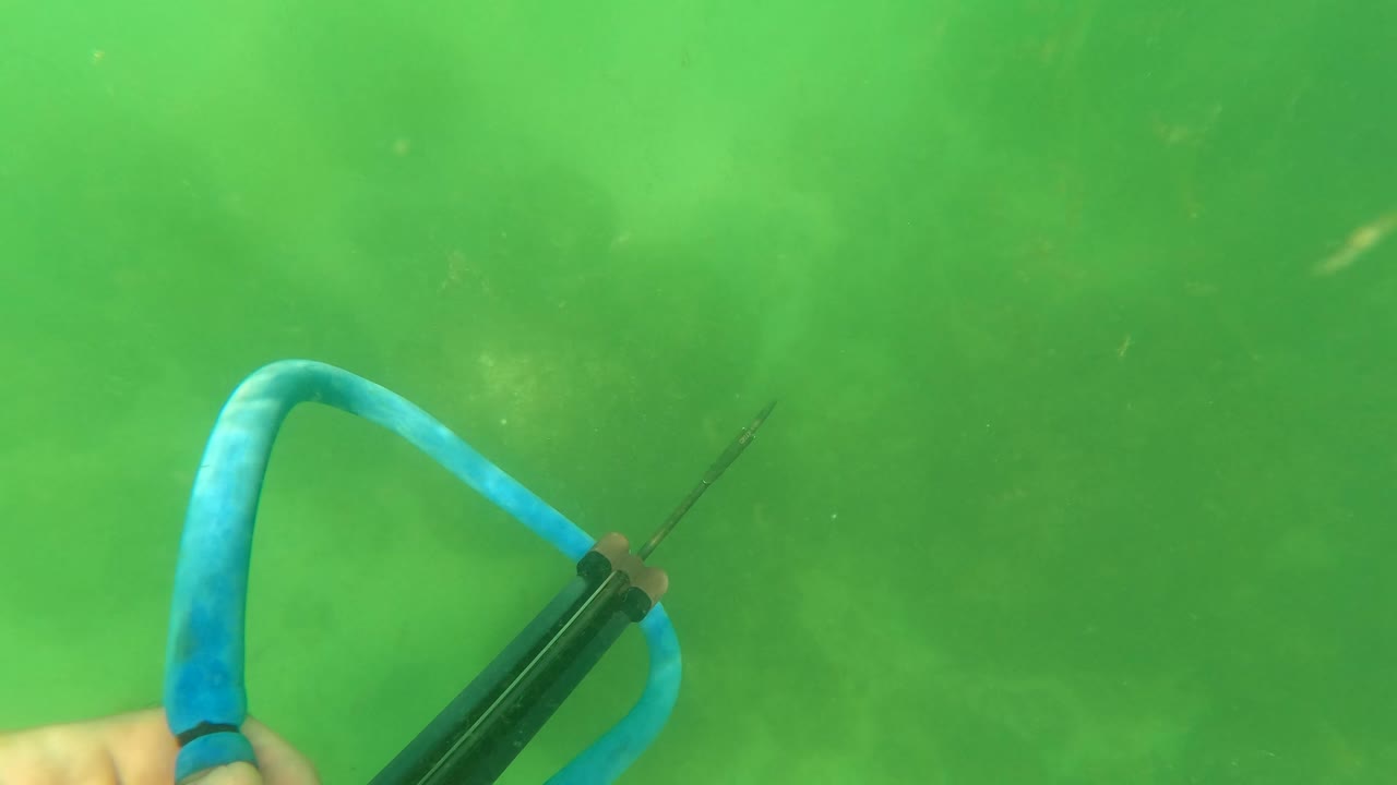 A blue and black speargun enters from the left in green water near San Jose del Cabo, with floating particles and a partial hand at the edge.
