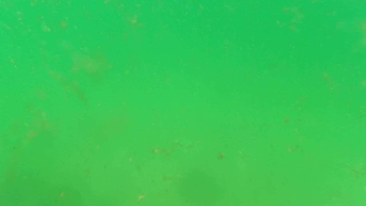 A mostly open green underwater frame shows suspended particles and faint seabed forms in the San Jose del Cabo ocean setting.