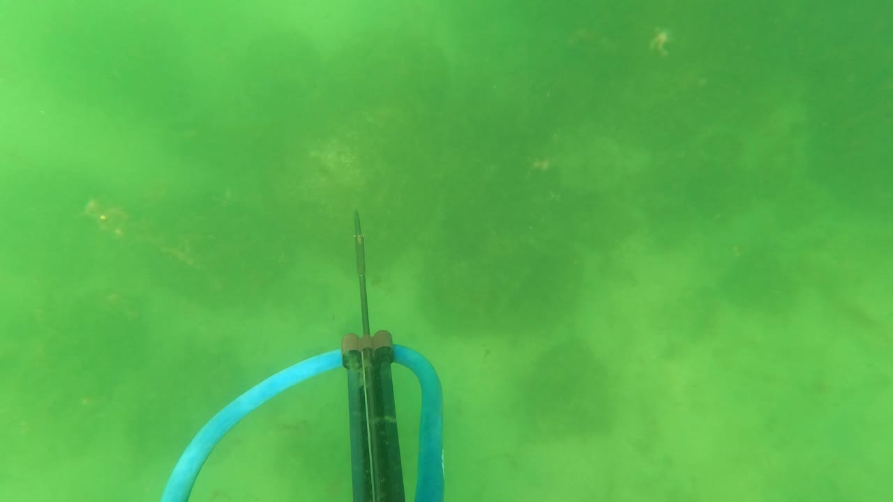 At 0:01, the speargun sits closer to center with the blue band curving left through green water in San Jose Del Cabo, with no visible people.